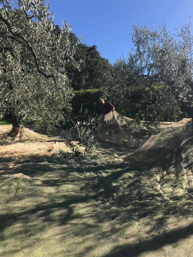 Podere Belvedere Livorno Luaran gambar